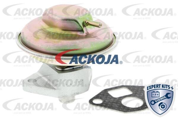 Ackoja A51-63-0003 Клапан возврата ОГ A51630003: Отличная цена - Купить в Польше на 2407.PL!
