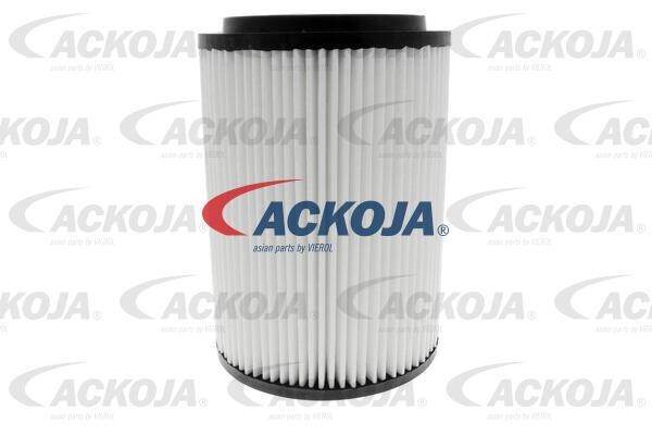Ackoja A53-0191 Воздушный фильтр A530191: Отличная цена - Купить в Польше на 2407.PL!