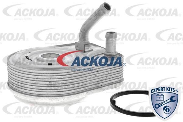 Ackoja A52-60-0008 Oil Cooler, engine oil A52600008: Buy near me in Poland at 2407.PL - Good price!