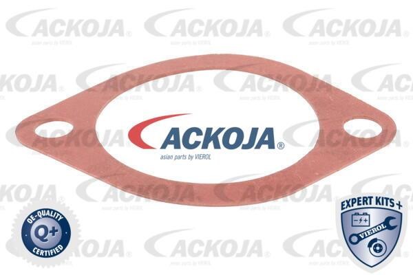 Buy Ackoja A52-99-0003 at a low price in Poland!