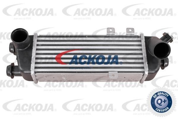 Ackoja A53-60-0006 Intercooler, charger A53600006: Buy near me in Poland at 2407.PL - Good price!