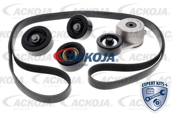 Ackoja A52-0211 Drive belt kit A520211: Buy near me in Poland at 2407.PL - Good price!