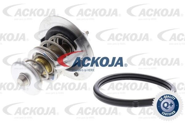 Ackoja A52-99-0019 Термостат, охлаждающая жидкость A52990019: Купить в Польше - Отличная цена на 2407.PL!