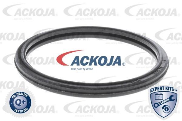 Buy Ackoja A64-99-0009 at a low price in Poland!