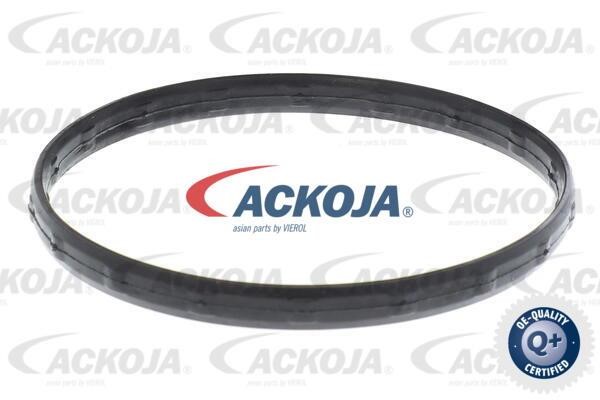 Купить Ackoja A26-99-0012 по низкой цене в Польше!