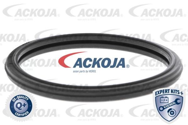 Купити Ackoja A38-99-0015 за низькою ціною в Польщі!