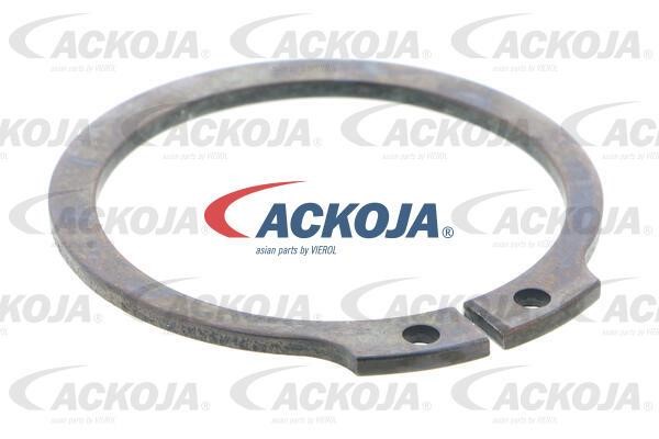 Buy Ackoja A38-1200 at a low price in Poland!