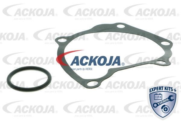 Kup Ackoja A52-50004 w niskiej cenie w Polsce!
