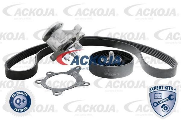 Ackoja A52-0207 Drive belt kit A520207: Buy near me in Poland at 2407.PL - Good price!