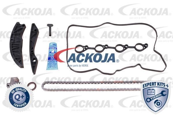 Ackoja A52-10001 Timing chain kit A5210001: Buy near me in Poland at 2407.PL - Good price!