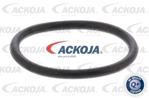 Kup Ackoja A53-99-0009 w niskiej cenie w Polsce!