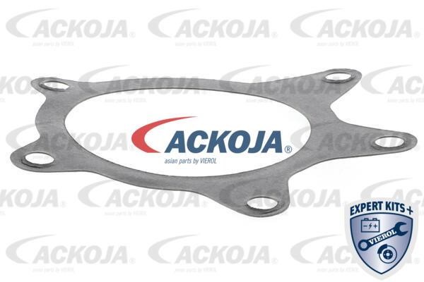Buy Ackoja A70-50017 at a low price in Poland!