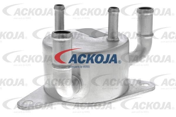 Ackoja A32-60-0001 Oil Cooler, automatic transmission A32600001: Buy near me in Poland at 2407.PL - Good price!