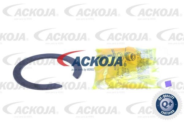 Kup Ackoja A52-0120 w niskiej cenie w Polsce!