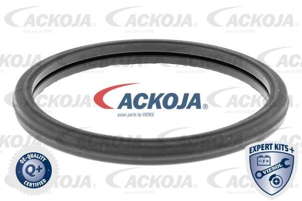 Kup Ackoja A70-99-0013 w niskiej cenie w Polsce!