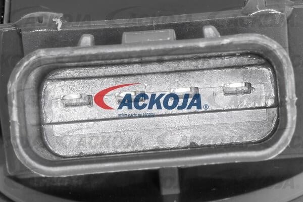Kup Ackoja A70-70-0012 w niskiej cenie w Polsce!