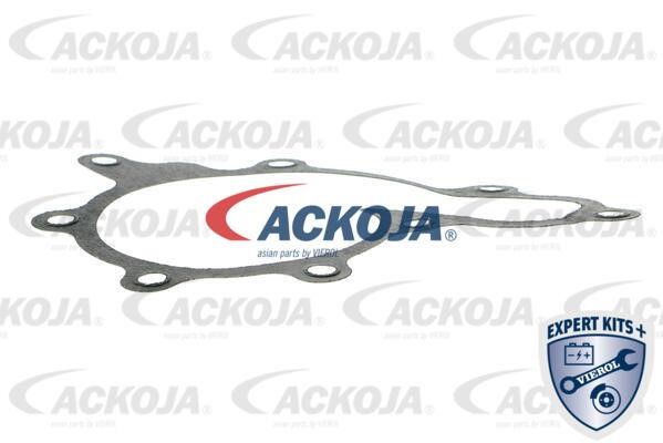 Buy Ackoja A38-50014 at a low price in Poland!