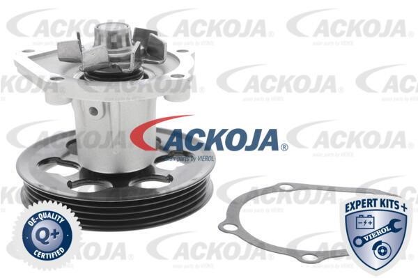 Ackoja A70-50009 Помпа водяная A7050009: Отличная цена - Купить в Польше на 2407.PL!
