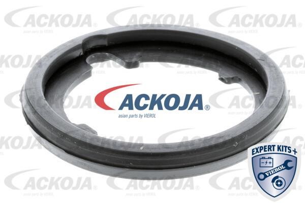 Купить Ackoja A26-99-0008 по низкой цене в Польше!