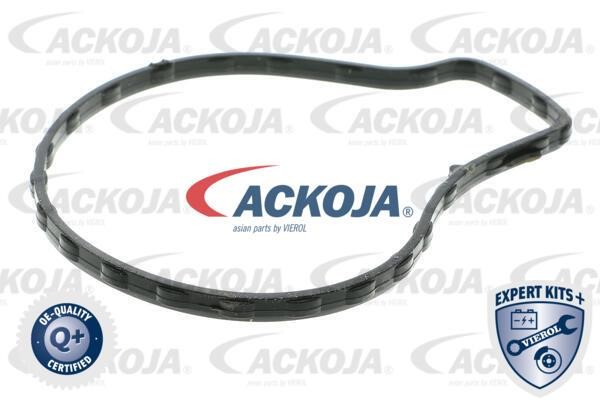 Kup Ackoja A70-50006 w niskiej cenie w Polsce!