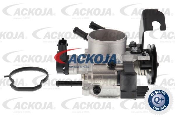 Ackoja A53-81-0003 Throttle body A53810003: Buy near me in Poland at 2407.PL - Good price!