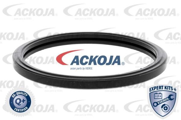 Купить Ackoja A37-99-0005 по низкой цене в Польше!