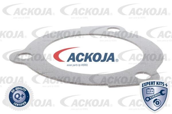 Kup Ackoja A53-99-0008 w niskiej cenie w Polsce!