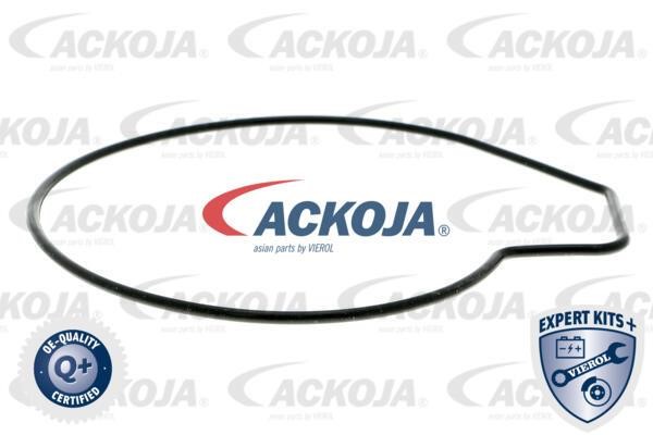 Kup Ackoja A37-50002 w niskiej cenie w Polsce!