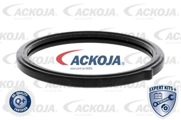 Kup Ackoja A53-99-0002 w niskiej cenie w Polsce!