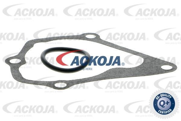 Купить Ackoja A52-50006 по низкой цене в Польше!