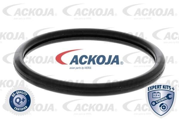 Kup Ackoja A52-99-0015 w niskiej cenie w Polsce!