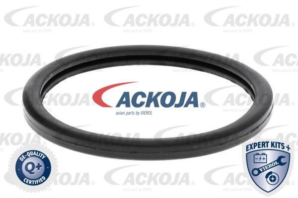 Kaufen Sie Ackoja A37-99-0006 zu einem günstigen Preis in Polen!