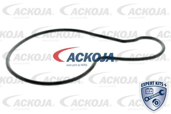 Buy Ackoja A37-50001 at a low price in Poland!