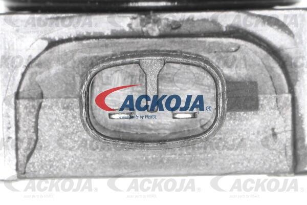 Kup Ackoja A53-70-0007 w niskiej cenie w Polsce!