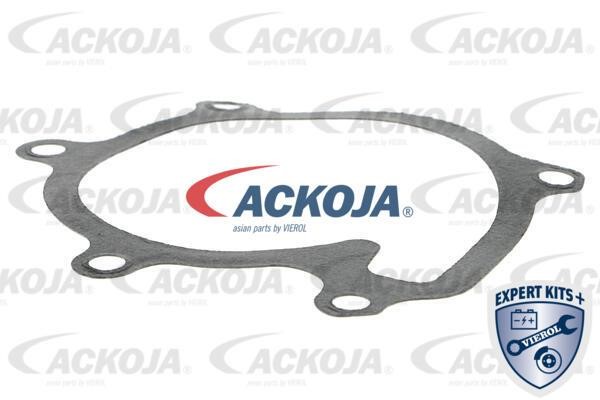 Kup Ackoja A70-50019 w niskiej cenie w Polsce!