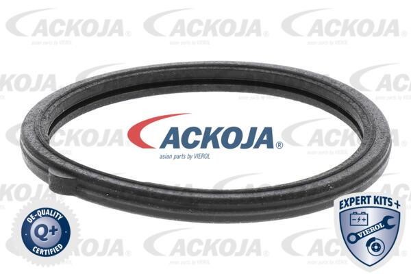Buy Ackoja A32-99-1705 at a low price in Poland!