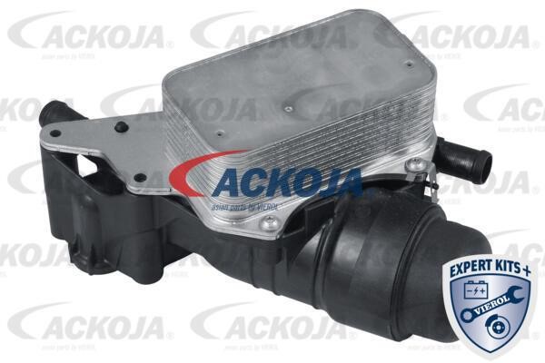Ackoja A38-60-0016 Oil Cooler, engine oil A38600016: Buy near me in Poland at 2407.PL - Good price!