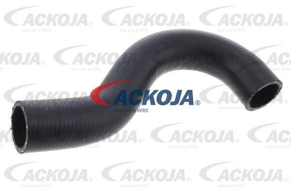 Ackoja A53-1600 Radiator hose A531600: Buy near me in Poland at 2407.PL - Good price!