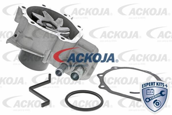 Ackoja A63-50003 Wasserpumpe A6350003: Kaufen Sie zu einem guten Preis in Polen bei 2407.PL!