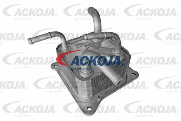Ackoja A38-60-0011 Oil Cooler, automatic transmission A38600011: Buy near me in Poland at 2407.PL - Good price!