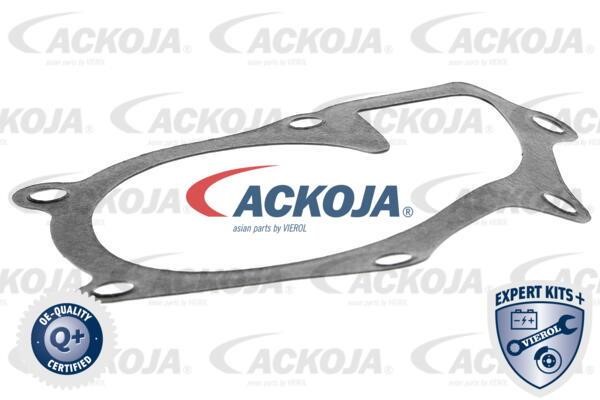 Kup Ackoja A70-50004 w niskiej cenie w Polsce!