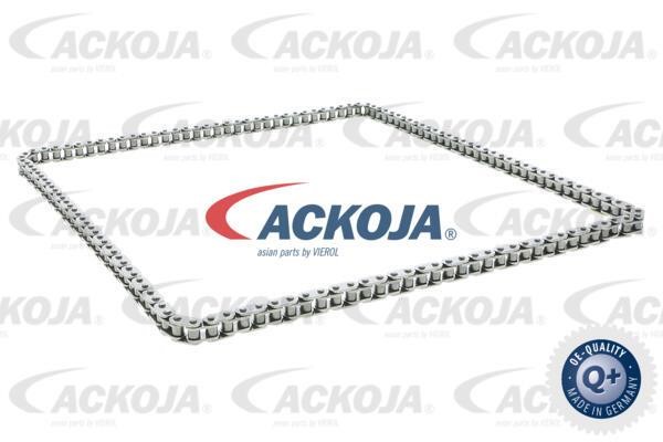 Ackoja A70-0283 Timing Chain A700283: Buy near me in Poland at 2407.PL - Good price!