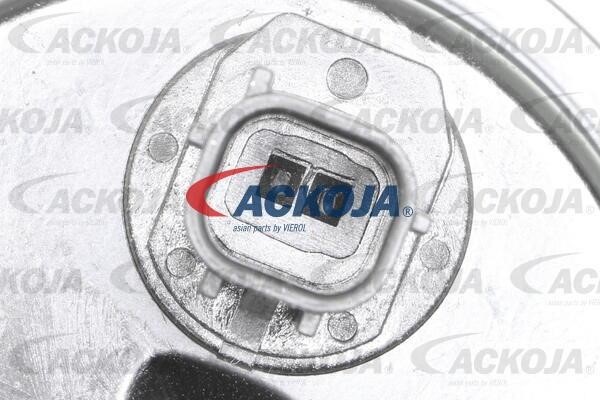 Kup Ackoja A70-0392 w niskiej cenie w Polsce!