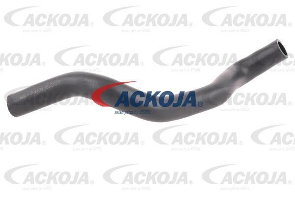 Ackoja A38-1604 Radiator hose A381604: Buy near me in Poland at 2407.PL - Good price!