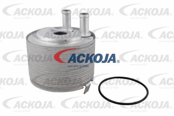 Ackoja A38-60-0012 Oil Cooler, engine oil A38600012: Buy near me in Poland at 2407.PL - Good price!