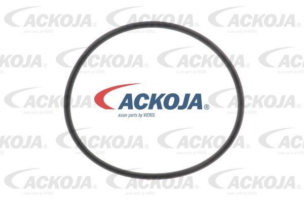 Купить Ackoja A38-60-0012 по низкой цене в Польше!