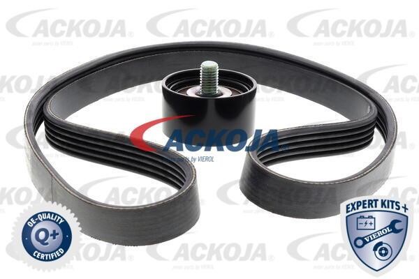 Ackoja A52-0515 Drive belt kit A520515: Buy near me in Poland at 2407.PL - Good price!