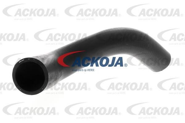 Ackoja A51-1606 Radiator hose A511606: Buy near me in Poland at 2407.PL - Good price!