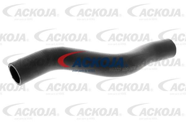 Ackoja A26-1604 Radiator hose A261604: Buy near me in Poland at 2407.PL - Good price!