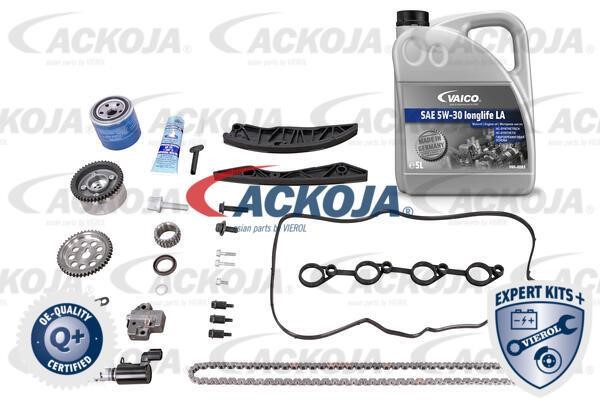 Ackoja A52-10001-XXL Timing chain kit A5210001XXL: Buy near me in Poland at 2407.PL - Good price!